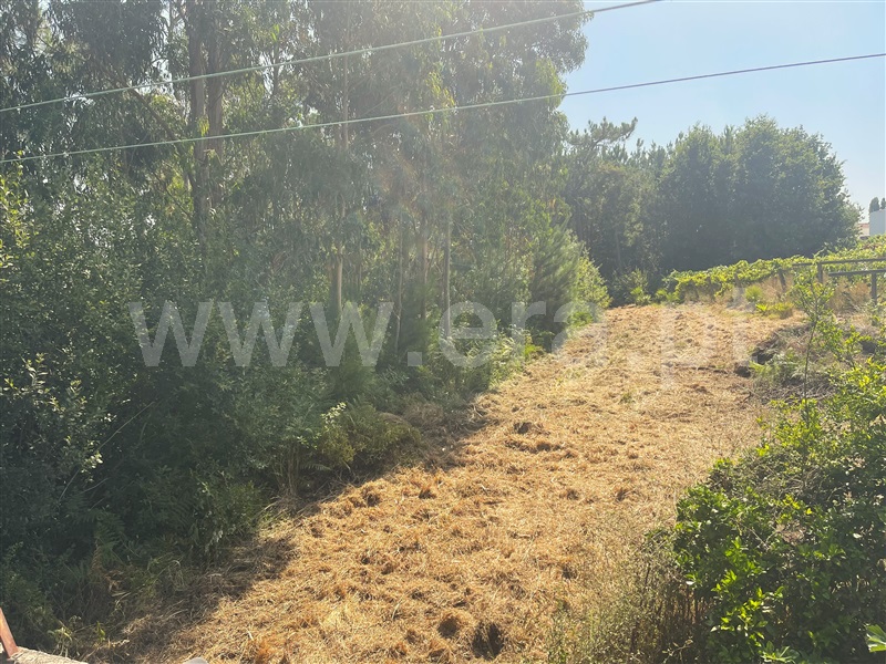 Terreno  Esposende, Forjães - 1492355 - 3