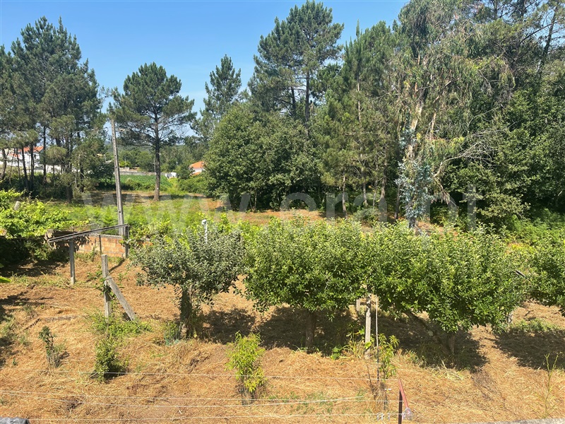 Terreno  Esposende, Forjães - 1492355 - 4