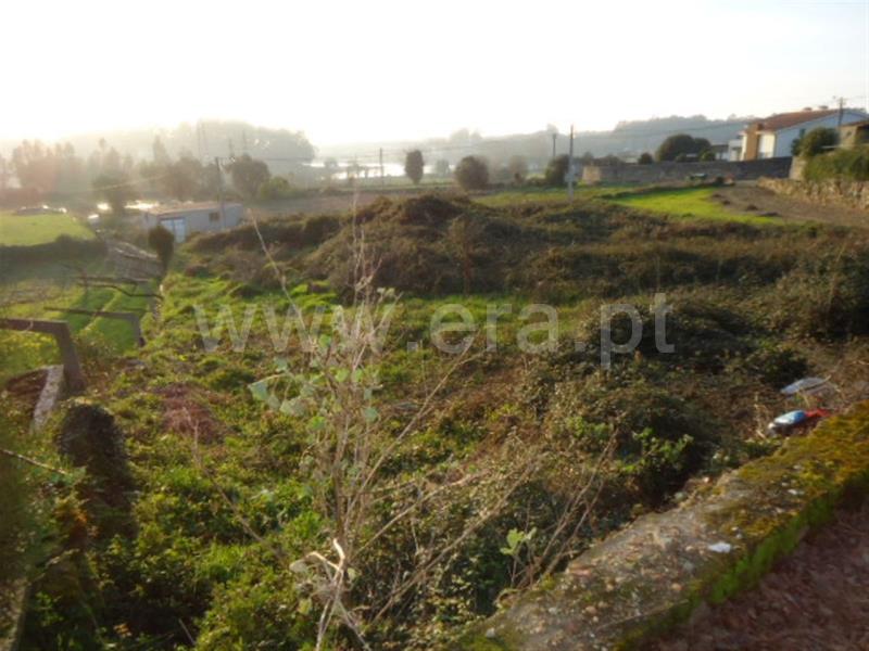 Terreno / Esposende, Gemeses