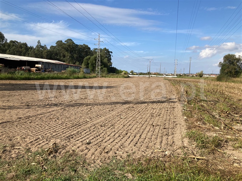 Terreno  Estarreja, Avanca - 1284470 - 2