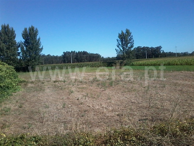 Terreno  Estarreja, Beduído e Veiros - 1355928 - 3