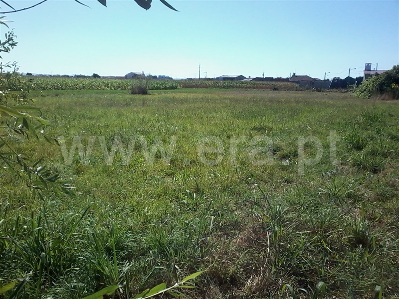 Terreno  Estarreja, Beduído e Veiros - 1355928 - 4