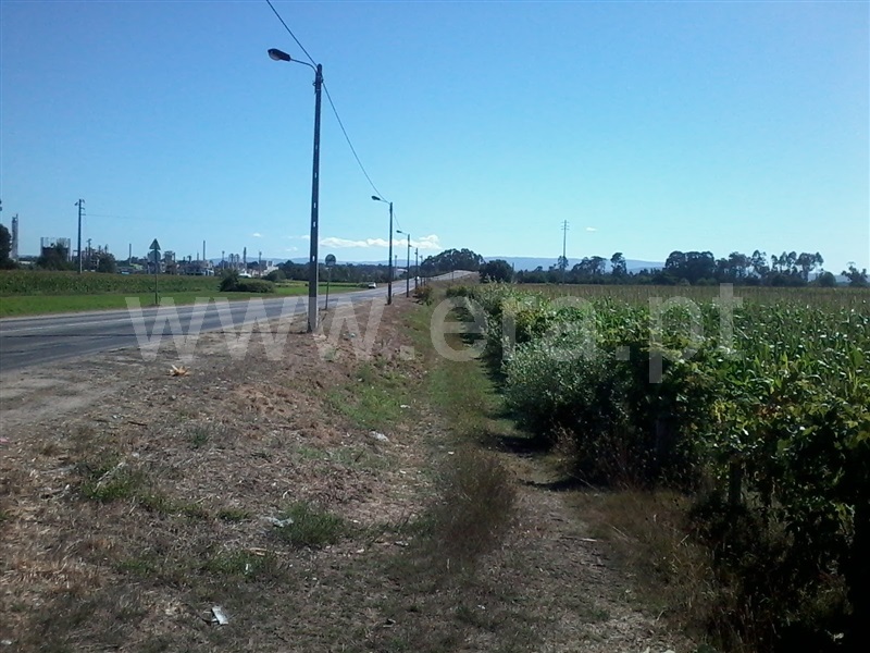 Terreno  Estarreja, Beduído e Veiros - 1355928 - 5