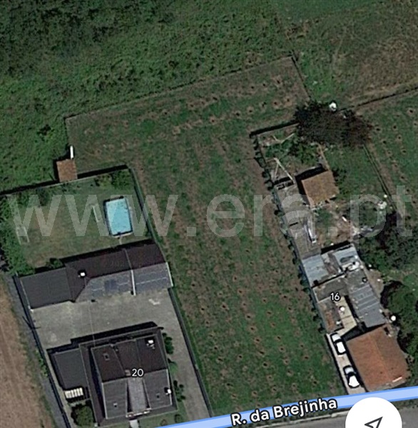 Terreno / Estarreja, Beduído e Veiros