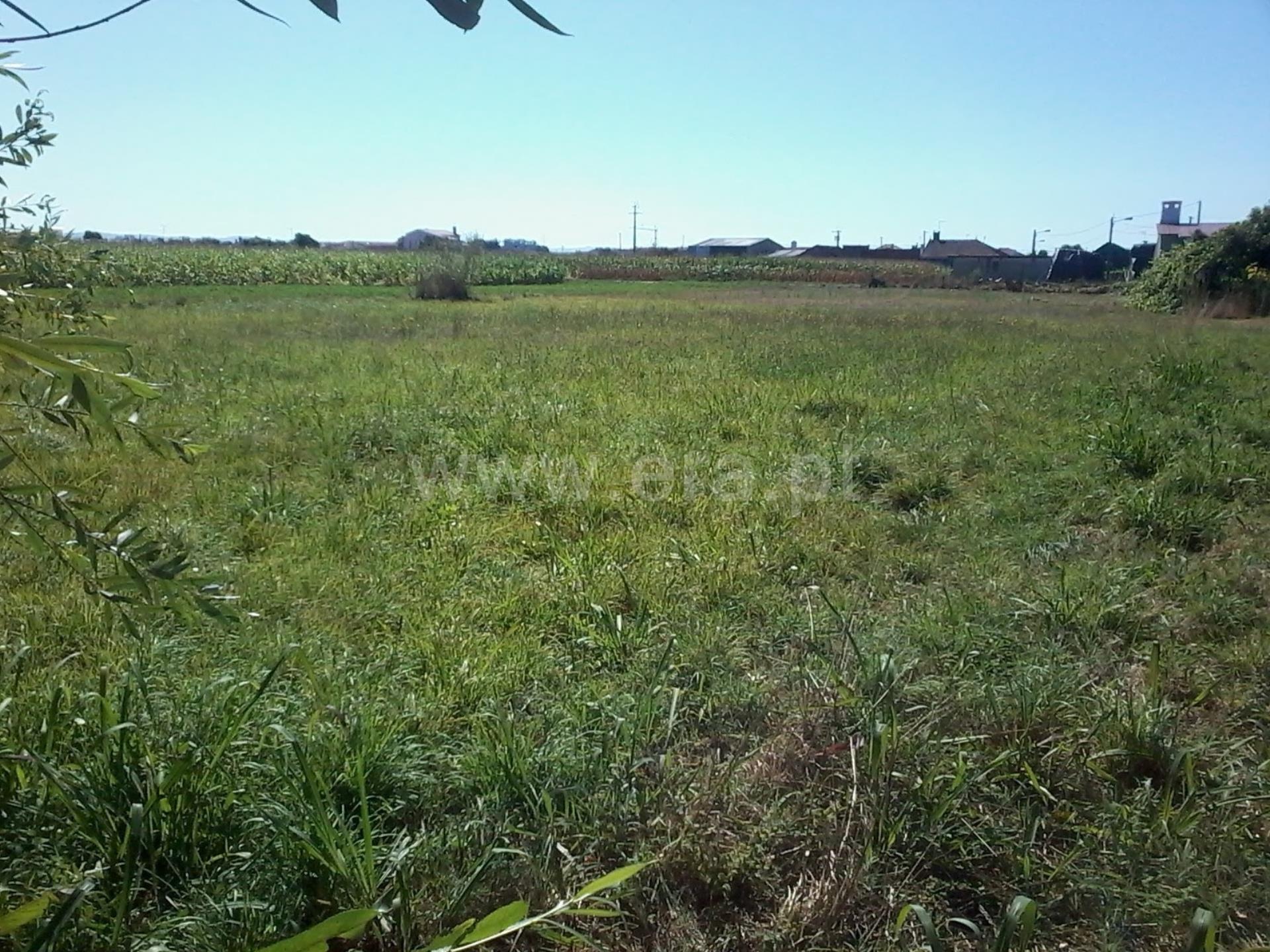 Terreno em Estarreja