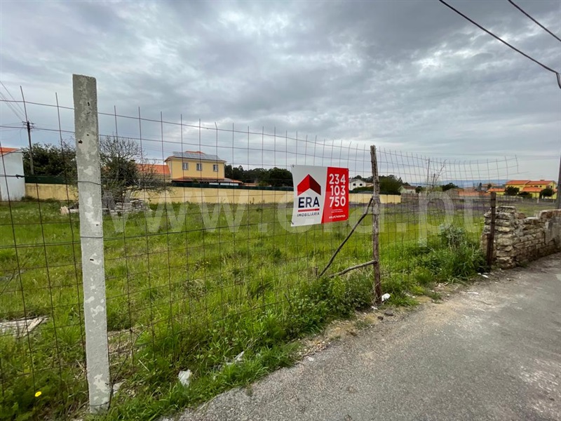Terreno / Estarreja, Cabeças
