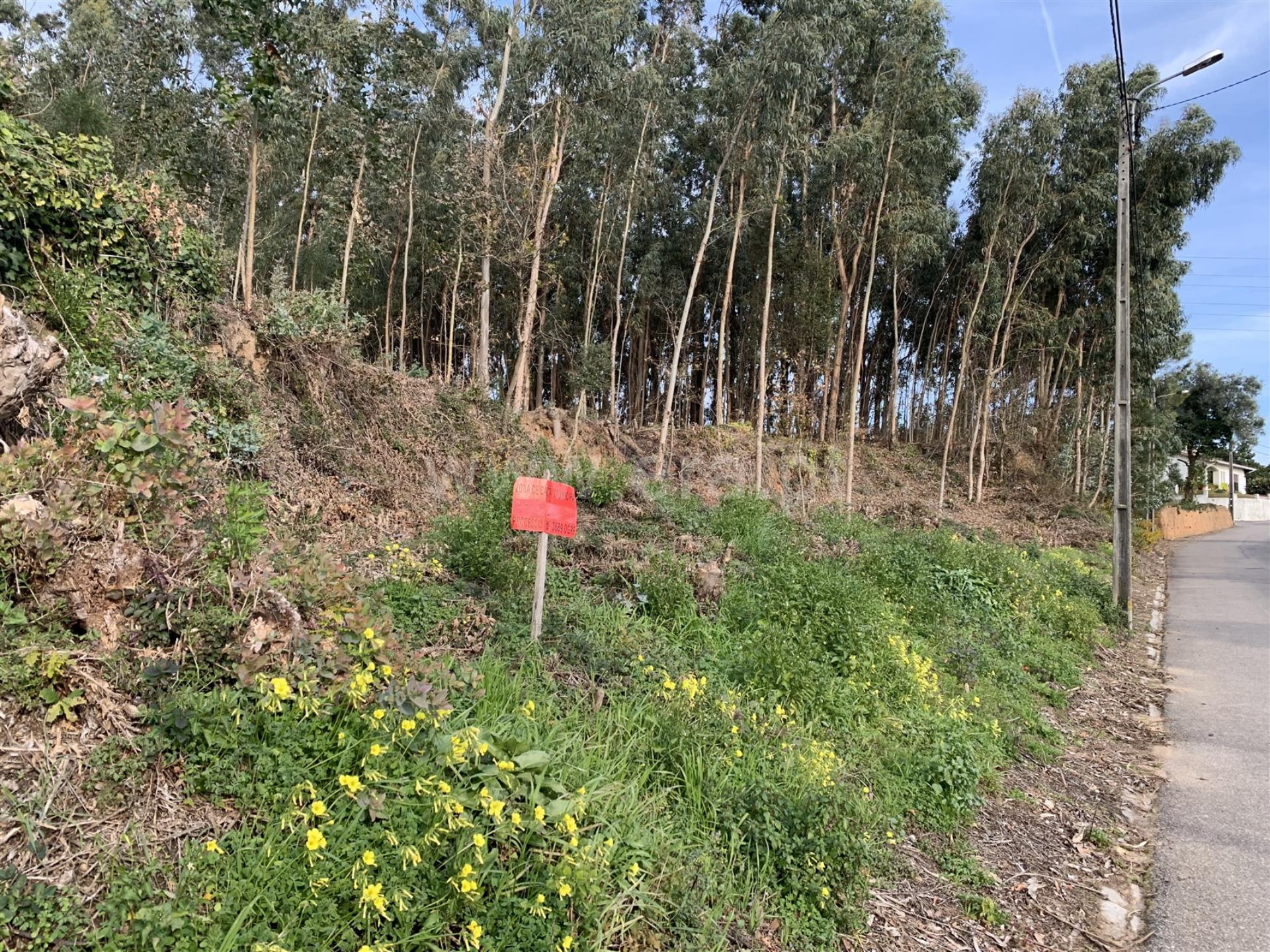 Land for sale in Estarreja, Portugal — €60,000
