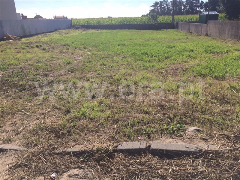 Terreno  Estarreja, Beduído e Veiros - 1108409 - 2
