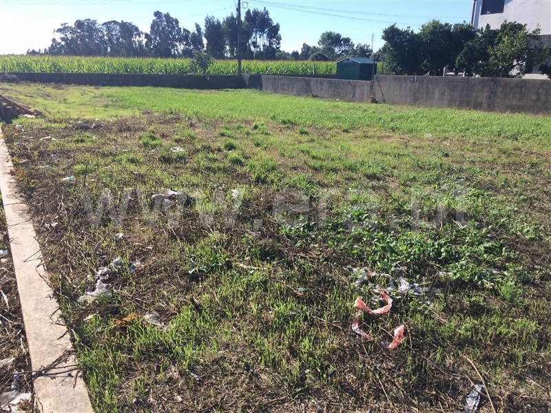 Terreno  Estarreja, Beduído e Veiros - 1108409 - 3