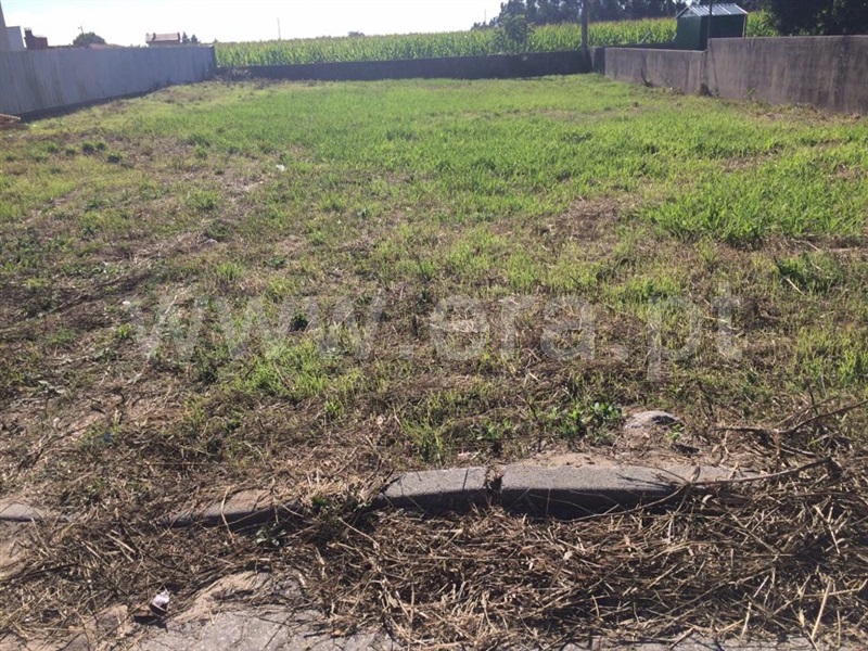 Terreno  Estarreja, Beduído e Veiros - 1108409 - 4