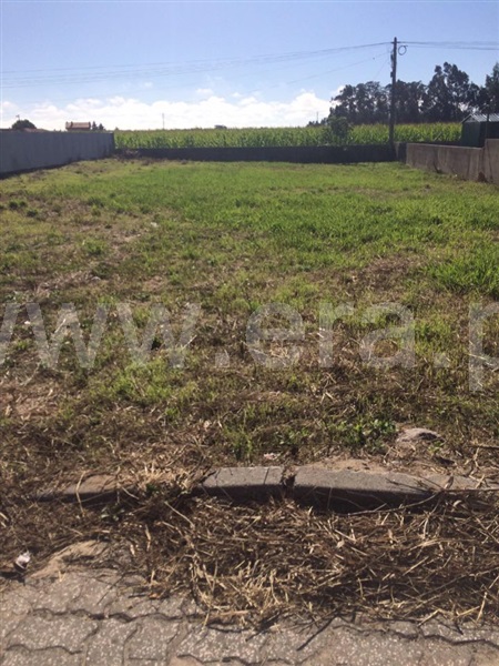 Terreno  Estarreja, Beduído e Veiros - 1108409 - 5