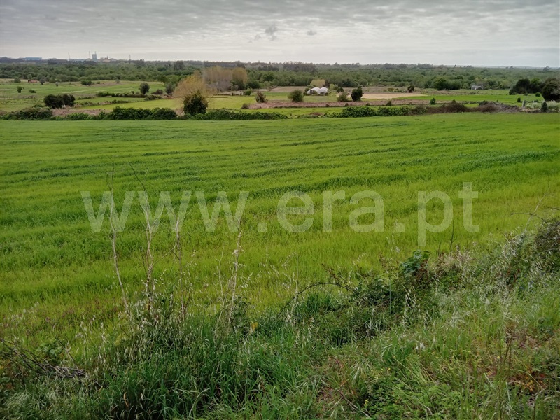 Terreno para Construção  Estarreja, Fermelã - 1241365 - 1