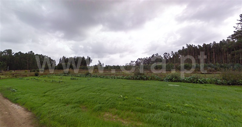 Terreno / Estarreja, Fermelã