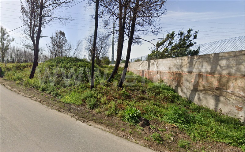 Terreno / Estarreja, Fermelã