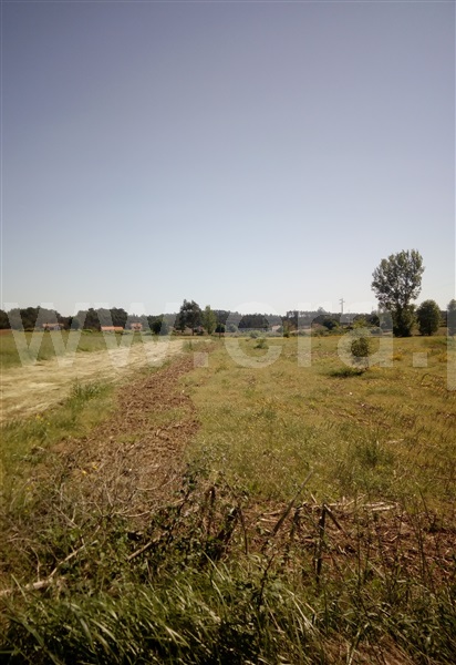 Terreno  Estarreja, Porto de Baixo - 1000866 - 2