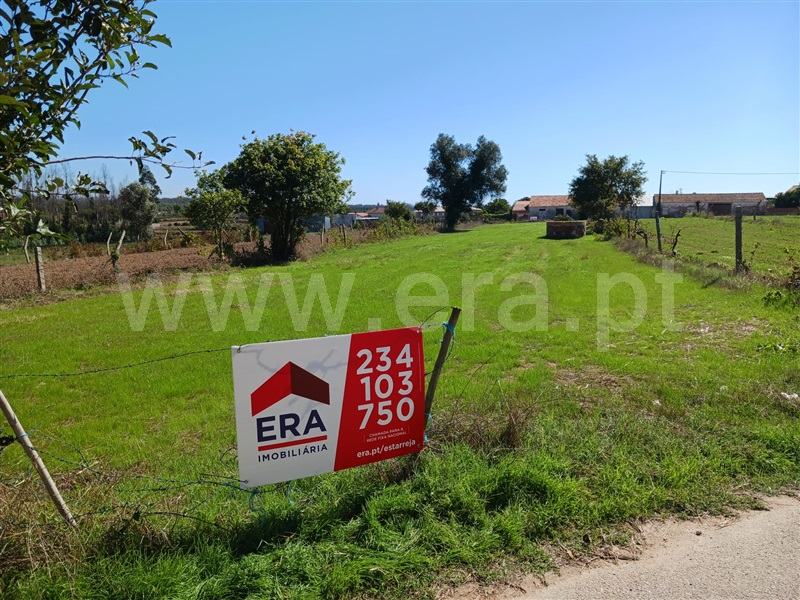 Terreno / Estarreja, Rochico