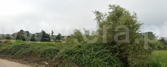 Terreno / Estarreja, Roxico