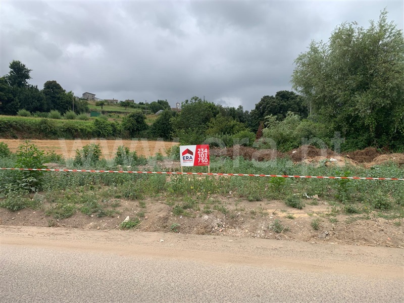 Terreno / Estarreja, Roxico