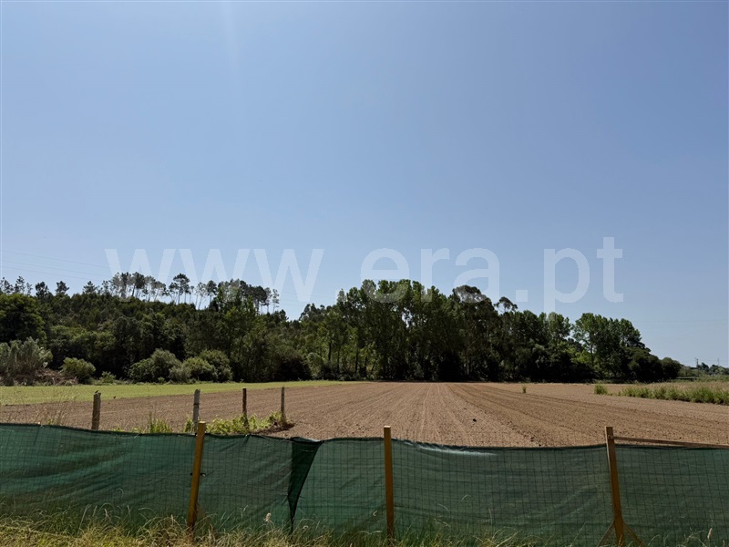 Terreno  Estarreja, Salreu - 1486183 - 4