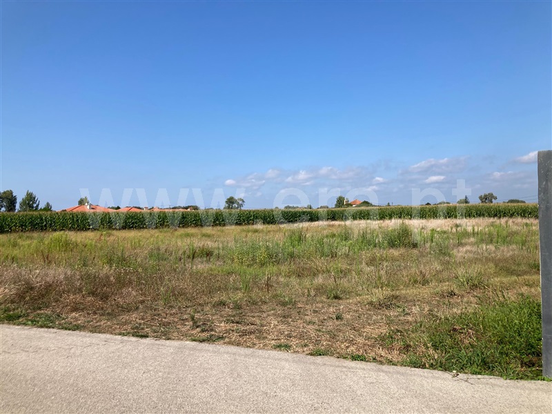 Terreno  Estarreja, Teixugueira - 1425070 - 4