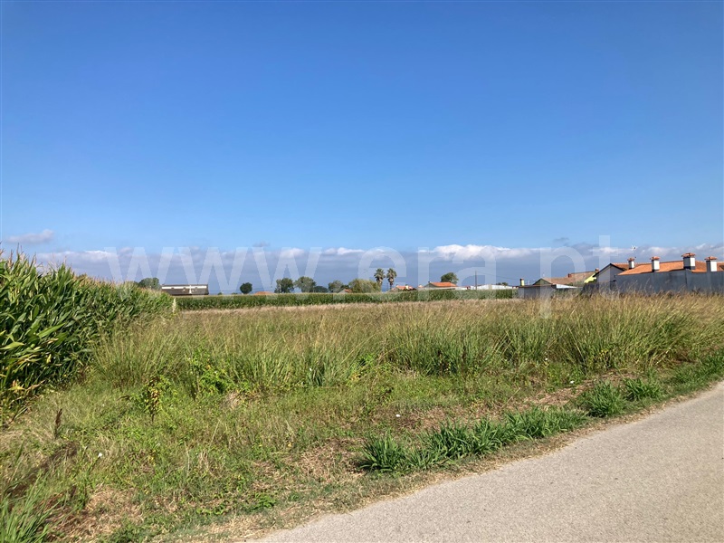 Terreno / Estarreja, Teixugueira
