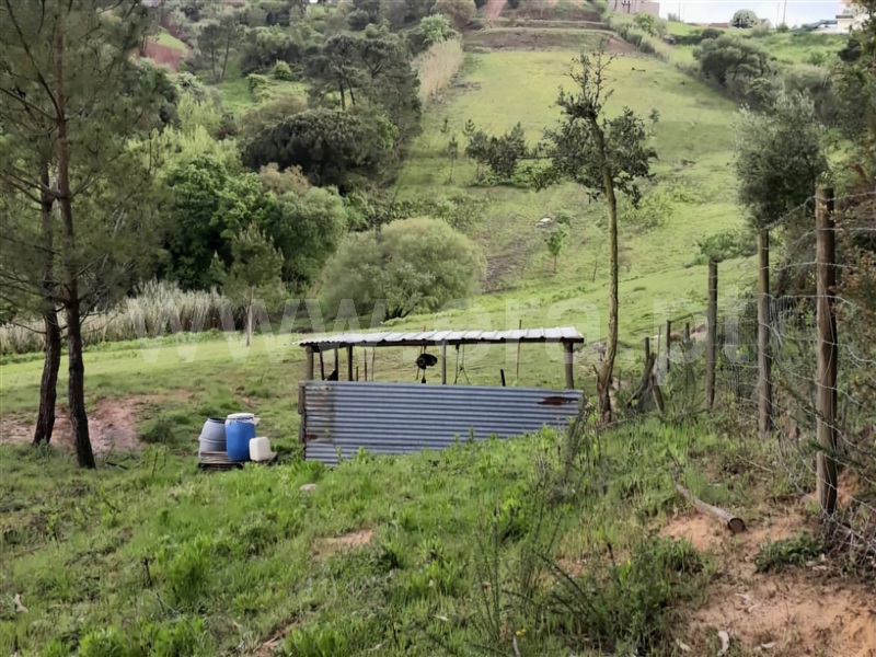 Terreno T0 Caldas da Rainha, Salir de Matos - 1456034 - 2
