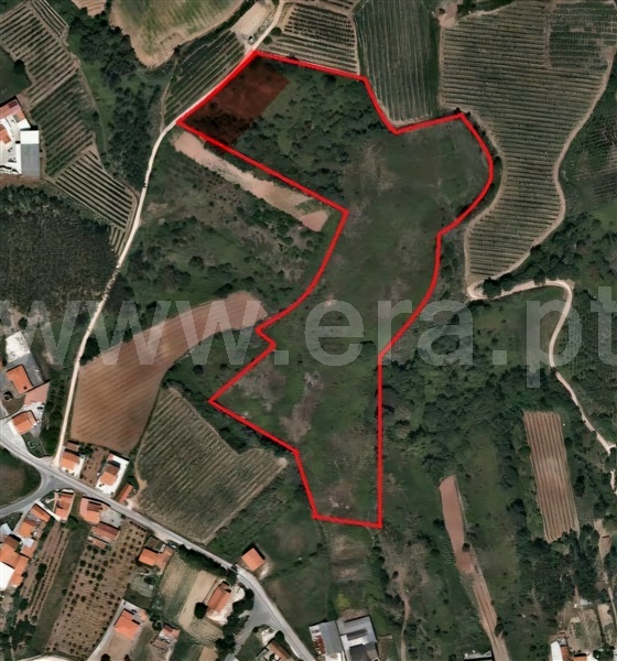 Terreno T0 Caldas da Rainha, Salir de Matos - 1468165 - 5