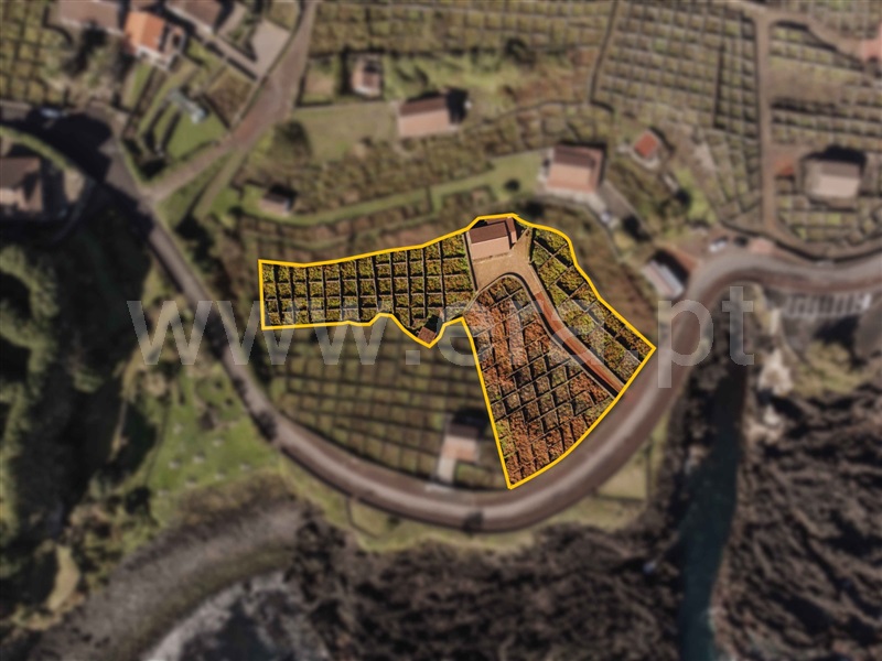 Terreno Rústico T2 Praia da Vitória, Biscoitos - 1507981 - 15