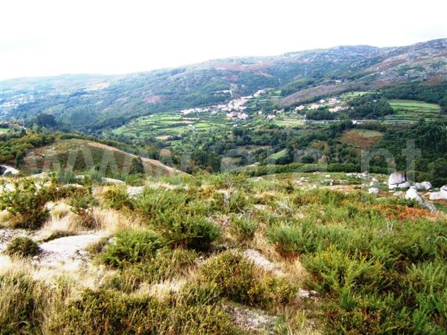 Terreno / Fafe, Aboim, Felgueiras, Gontim e Pedraído