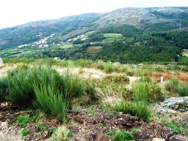 Terreno  Fafe, Aboim, Felgueiras, Gontim e Pedraído - 1393125 - 2