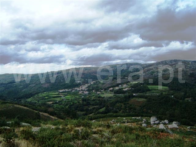 Terreno  Fafe, Aboim, Felgueiras, Gontim e Pedraído - 1393125 - 4