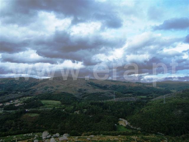 Terreno  Fafe, Aboim, Felgueiras, Gontim e Pedraído - 1393125 - 5