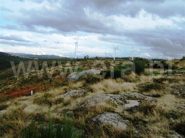 Terreno  Fafe, Aboim, Felgueiras, Gontim e Pedraído - 1393125 - 7