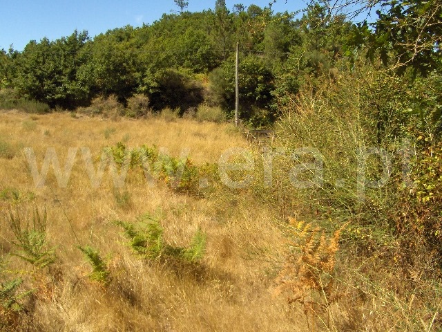 Terreno  Fafe, Aboim, Felgueiras, Gontim e Pedraído - 1432489 - 2