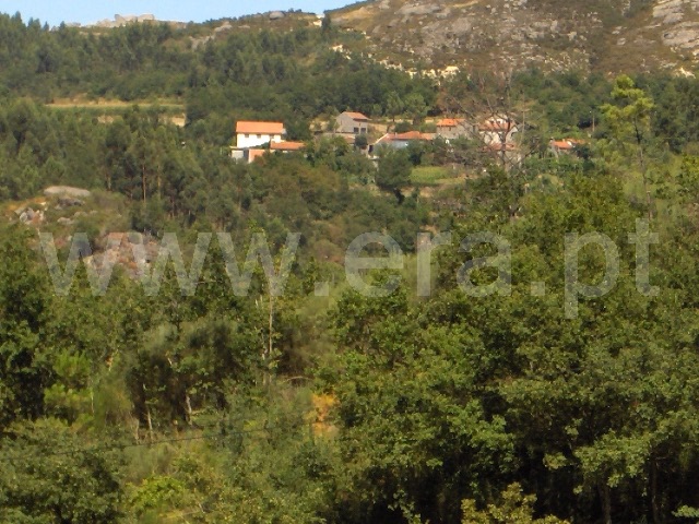 Terreno  Fafe, Aboim, Felgueiras, Gontim e Pedraído - 1432489 - 3