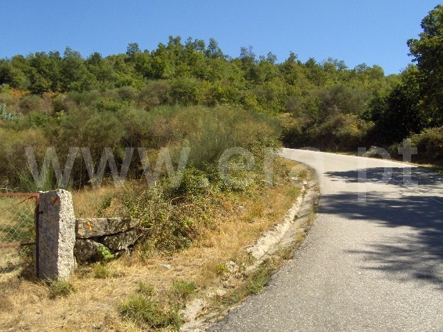 Terreno  Fafe, Aboim, Felgueiras, Gontim e Pedraído - 1432489 - 5