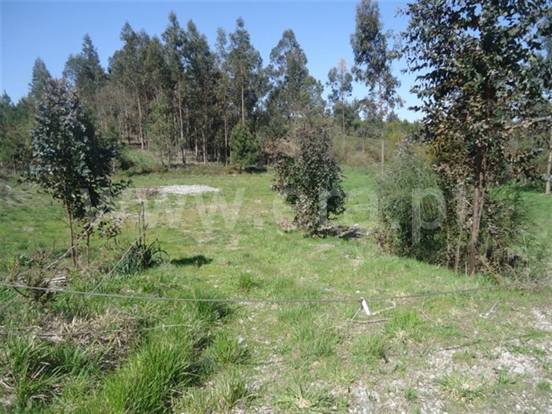 Terreno  Fafe, Aboim, Felgueiras, Gontim e Pedraído - 911618 - 2