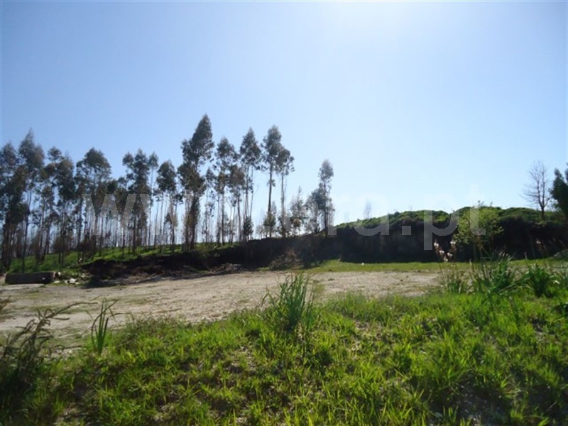 Terreno  Fafe, Aboim, Felgueiras, Gontim e Pedraído - 911618 - 4