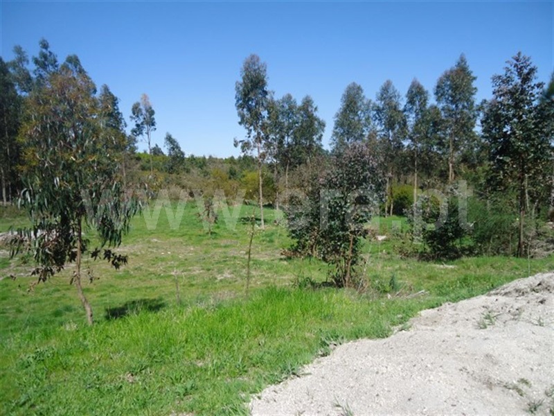 Terreno  Fafe, Aboim, Felgueiras, Gontim e Pedraído - 911618 - 6
