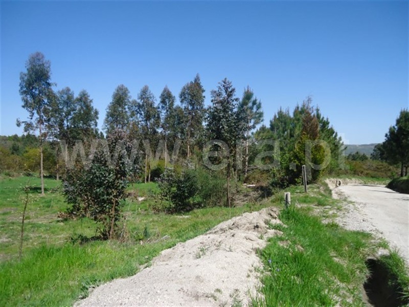 Terreno / Fafe, Aboim, Felgueiras, Gontim e Pedraído