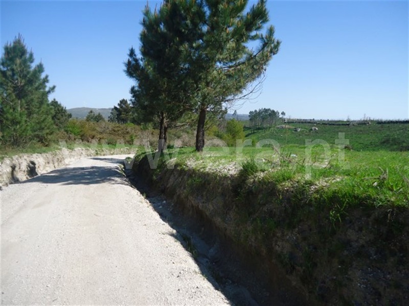 Terreno  Fafe, Aboim, Felgueiras, Gontim e Pedraído - 911618 - 7