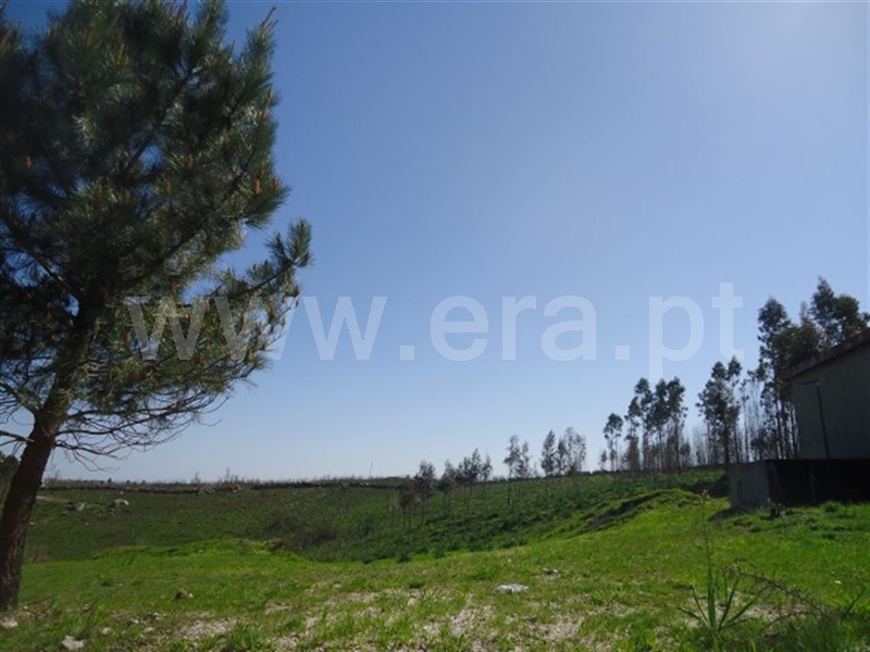 Terreno  Fafe, Aboim, Felgueiras, Gontim e Pedraído - 911618 - 8