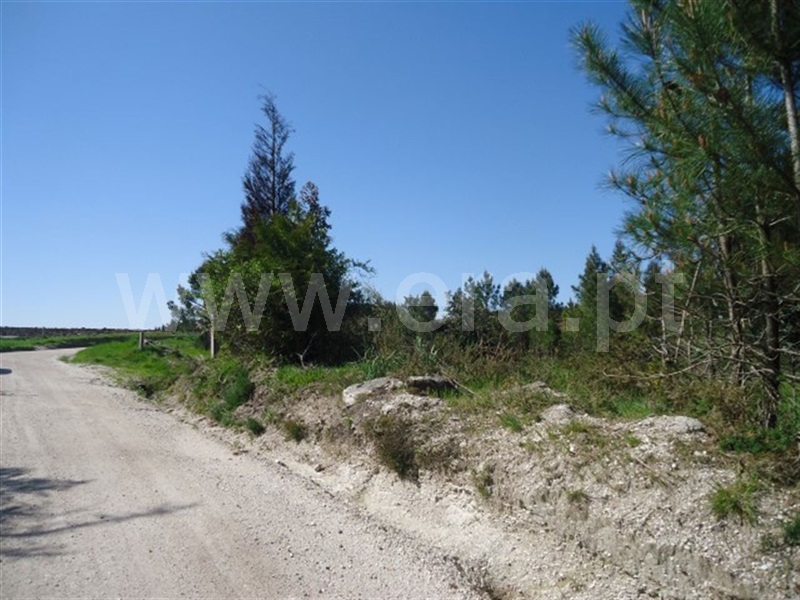 Terreno  Fafe, Aboim, Felgueiras, Gontim e Pedraído - 911618 - 9