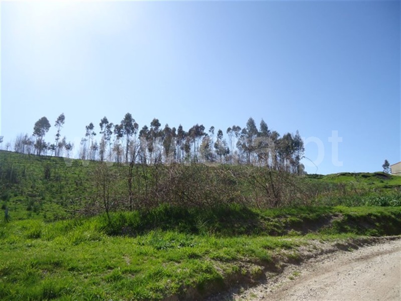 Terreno  Fafe, Aboim, Felgueiras, Gontim e Pedraído - 911618 - 10