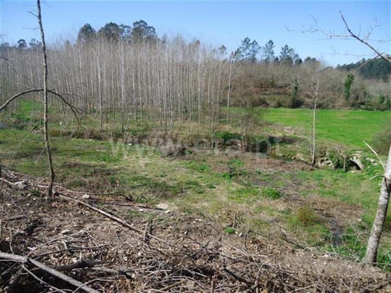 Terreno  Fafe, Agrela e Serafão - 564424 - 2