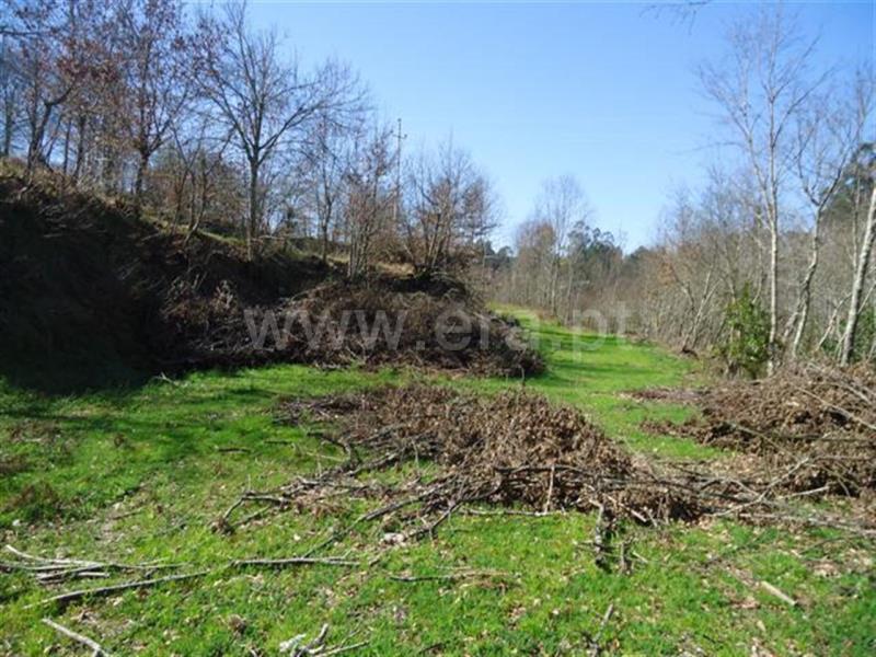 Terreno  Fafe, Agrela e Serafão - 564424 - 6