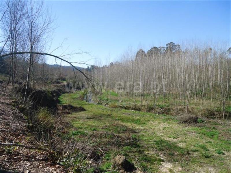 Terreno  Fafe, Agrela e Serafão - 564424 - 3