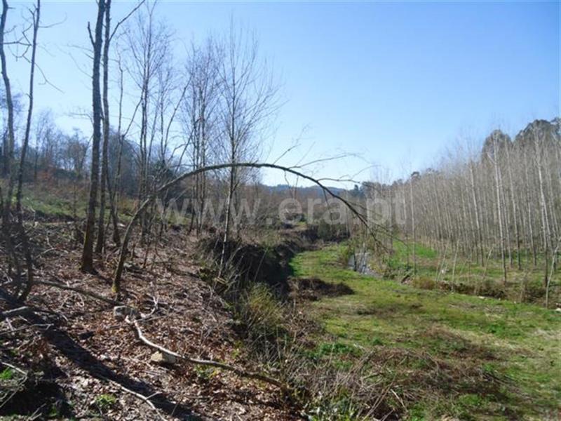Terreno  Fafe, Agrela e Serafão - 564424 - 8