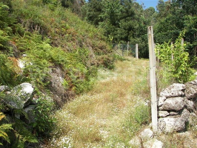Terreno  Fafe, Agrela e Serafão - 929768 - 5