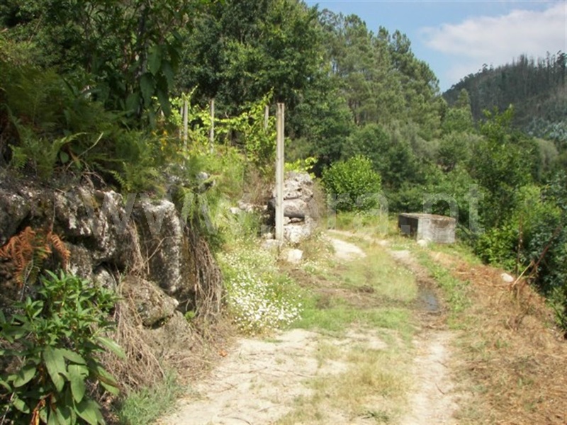 Terreno  Fafe, Agrela e Serafão - 929768 - 4